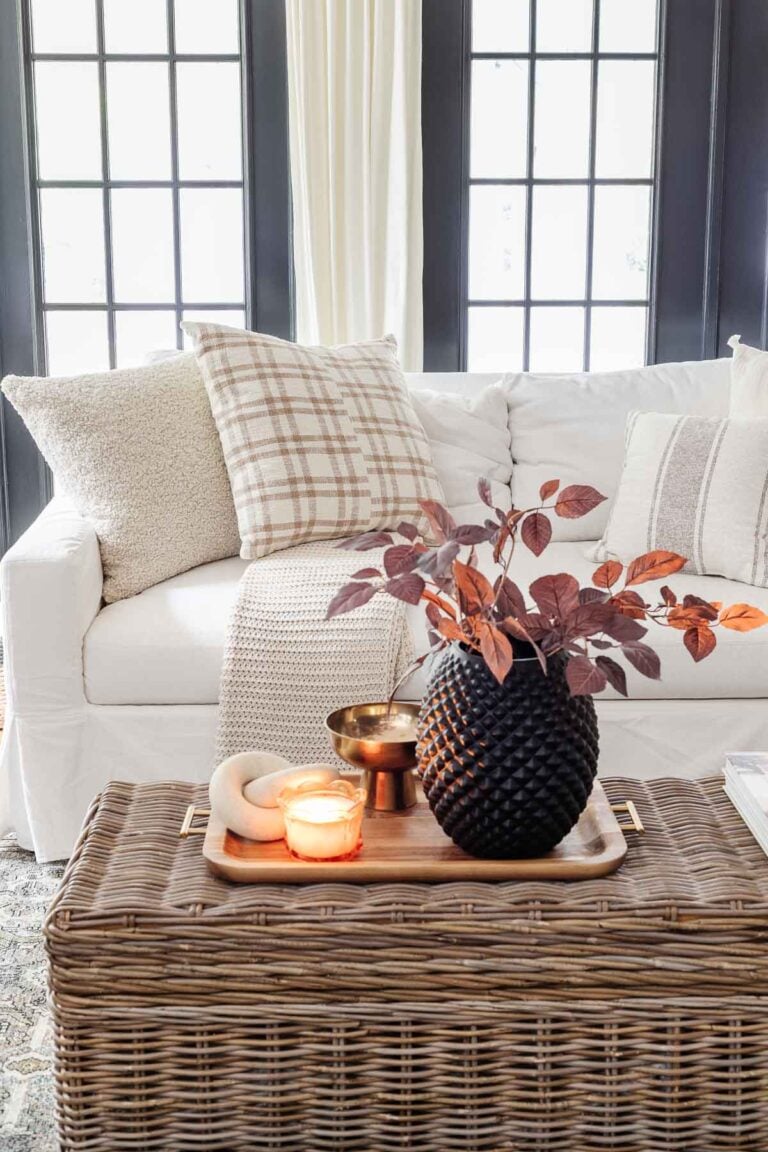 Fall Pillows That Can Transition to Other Seasons