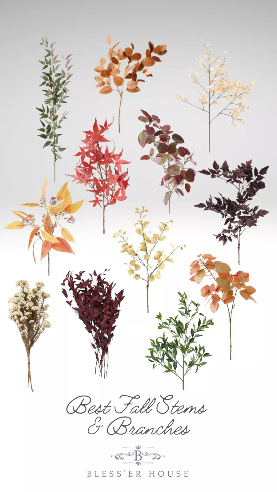 best fall branches and stems